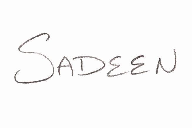 SadeenLogo